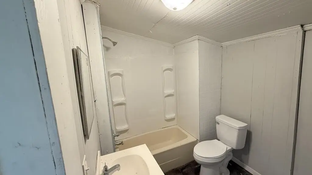 Picture 11