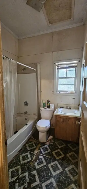 Picture 27