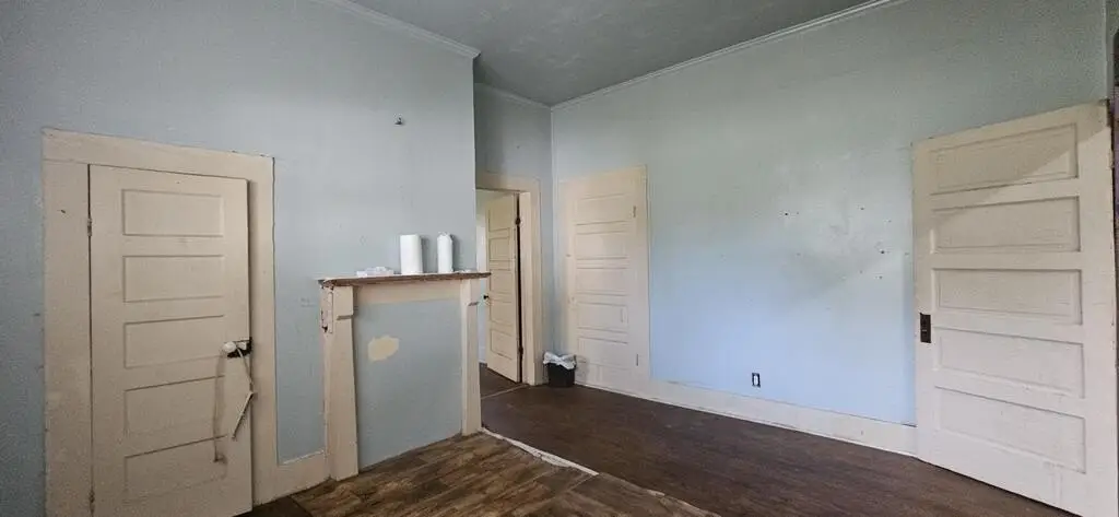 Picture 41