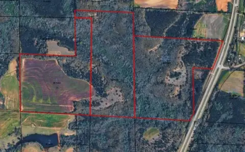 Hunting Land with Creek Access