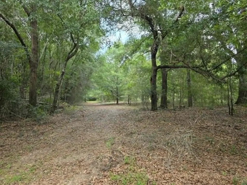 Picture 3