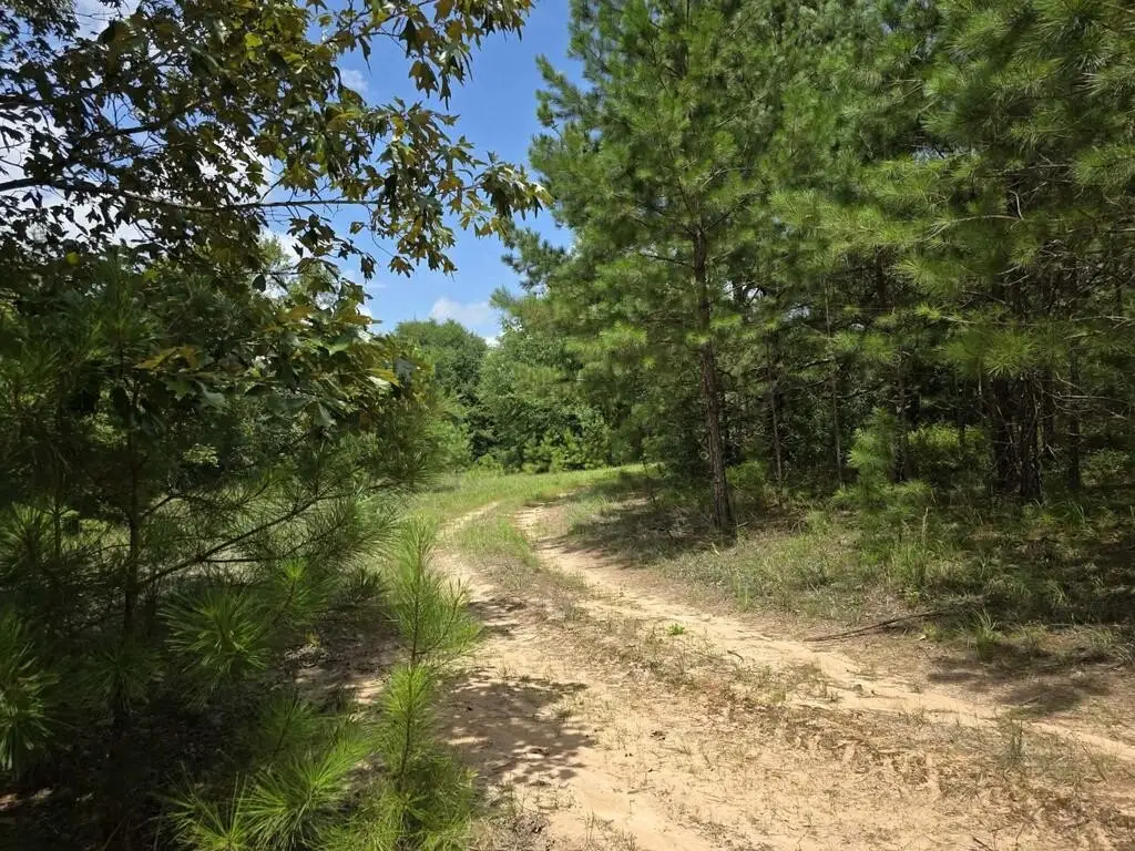 Picture 15