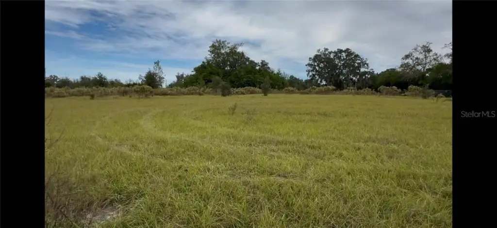 Picture 24