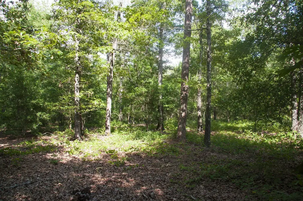 Picture 18