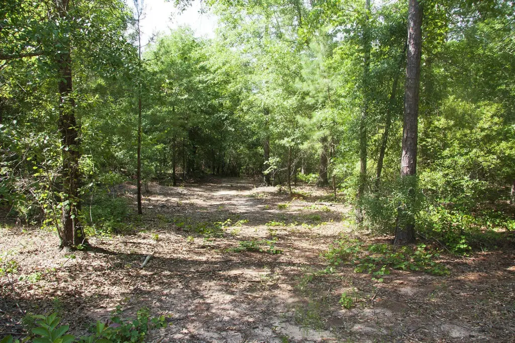 Picture 8