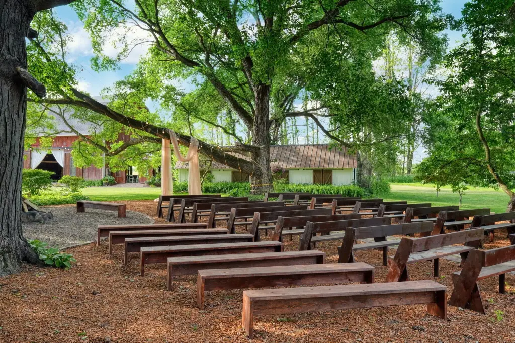 Picture 26