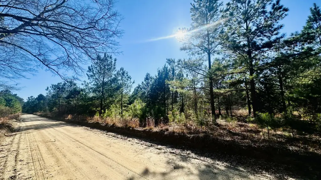 Picture 6