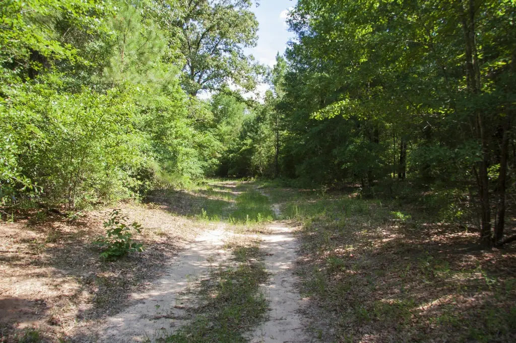 Picture 8