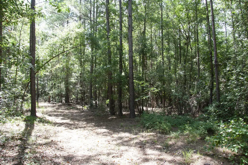 Picture 18