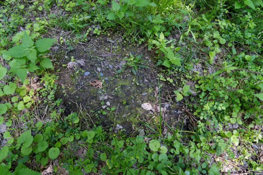 Picture 47