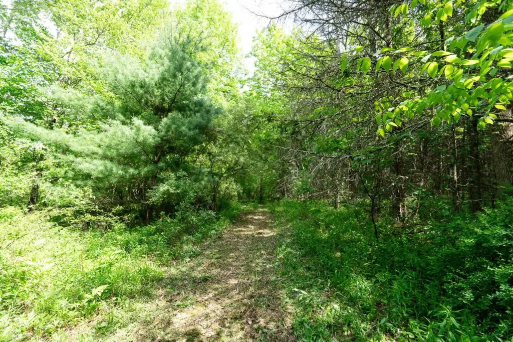 Picture 16