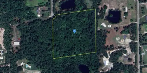 Expansive Vacant Lot Near I-95