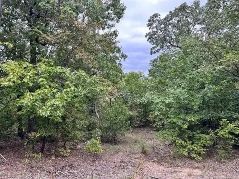 Land Near Lake Eufaula