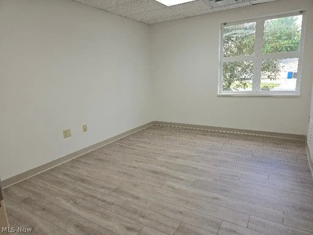 Picture 16