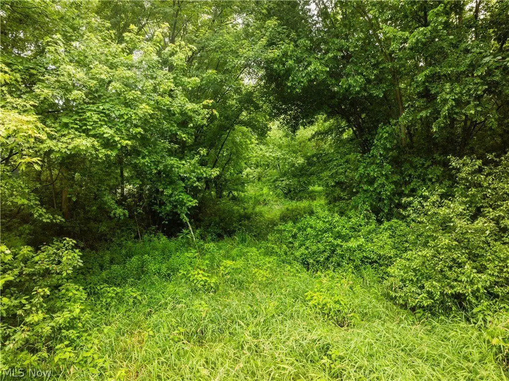 Picture 11