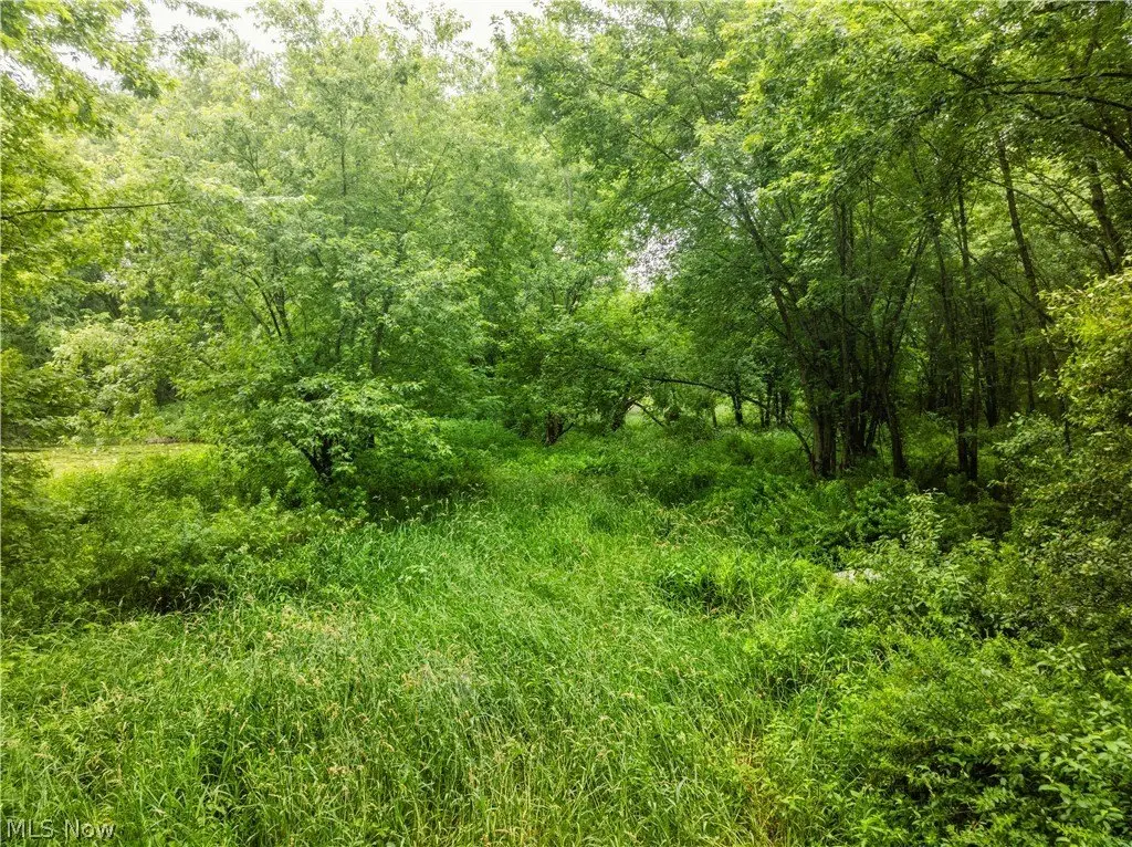 Picture 13