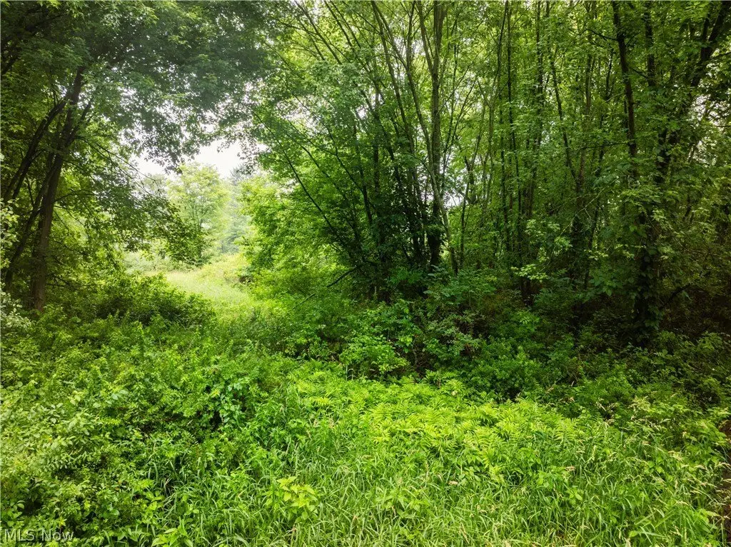 Picture 14