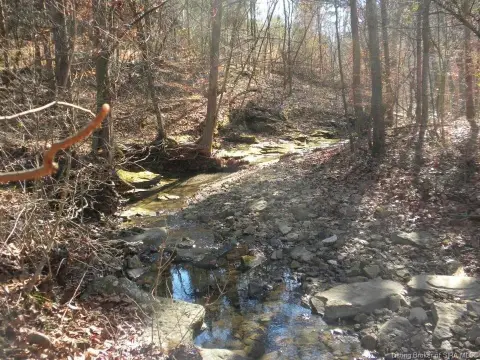 Recreational Land with Creek Access