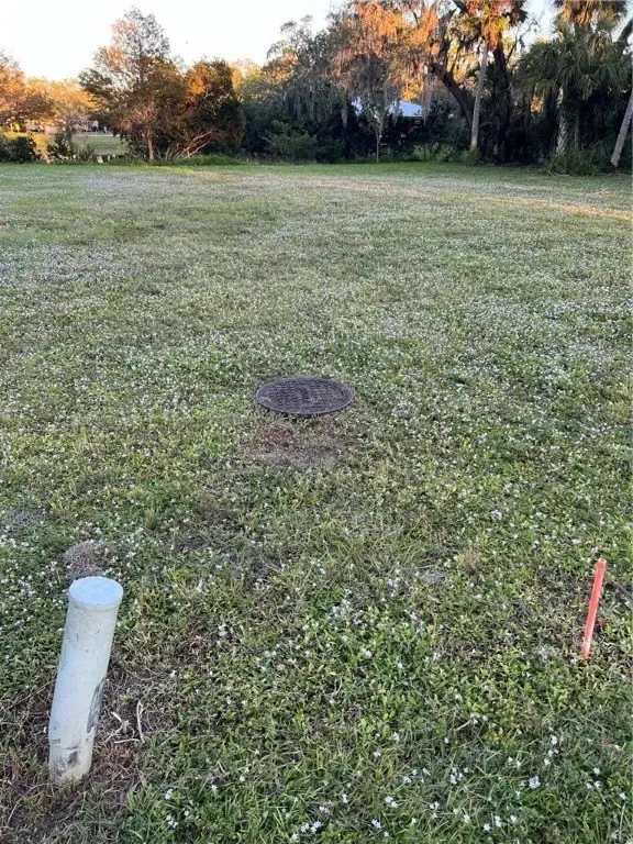 Picture 14