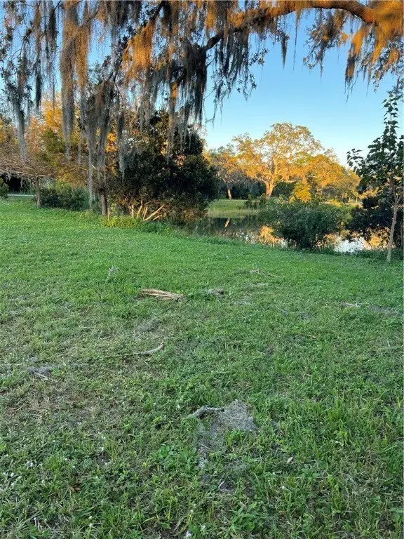 Picture 13