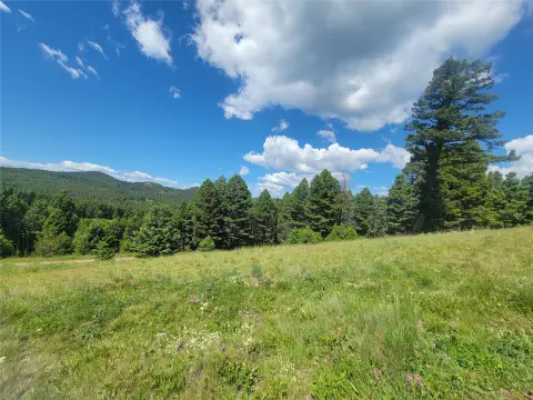 20 Acres of Montana Retreat