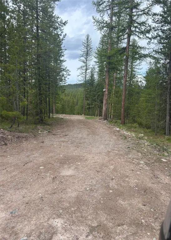 Picture 5