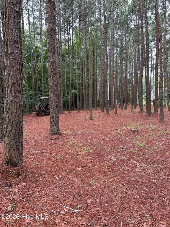 Picture 2