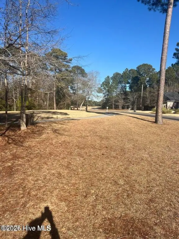 Picture 7