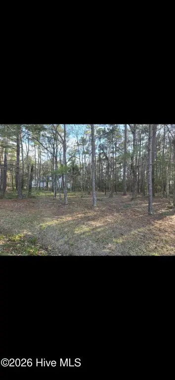 Picture 11