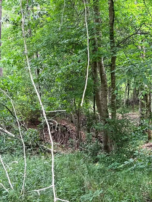 Picture 8