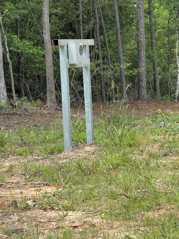 Picture 3