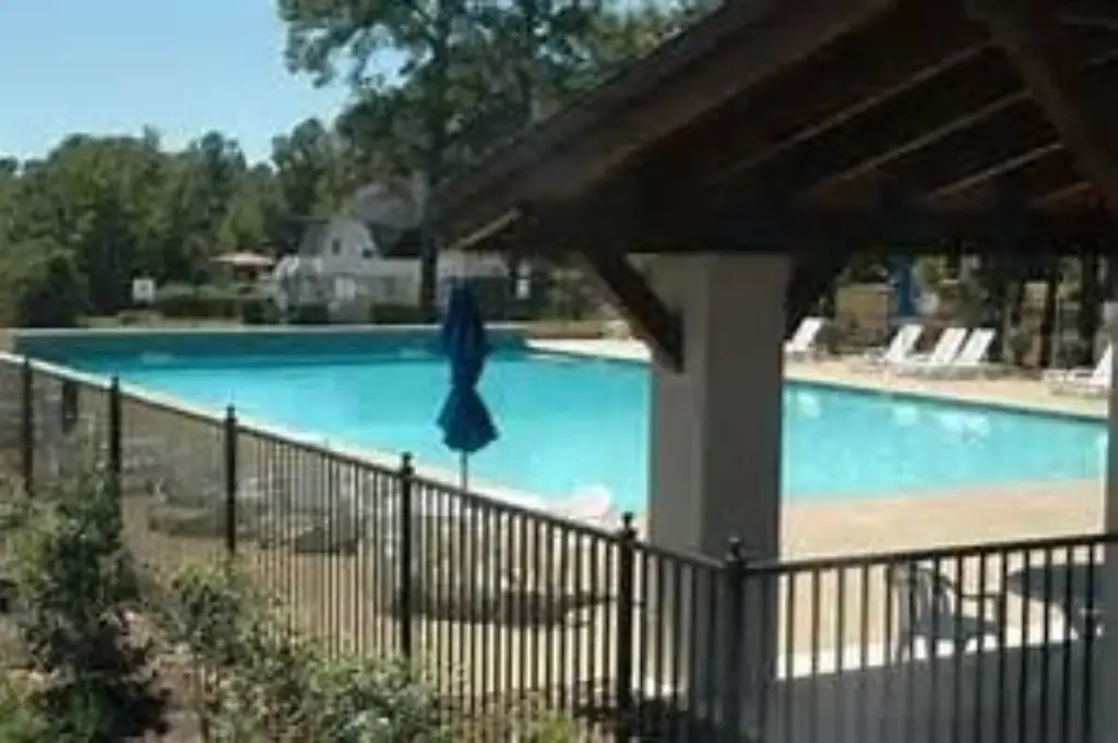 Picture 5