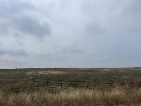 10.7 Acres in Penelope, TX