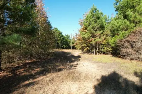 100 Acres Near Gilmer, TX