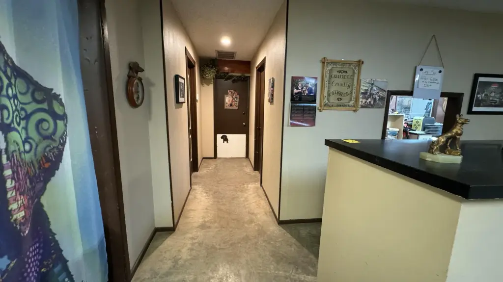 Picture 41