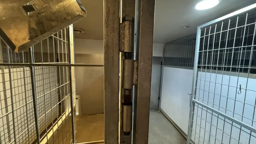Picture 33