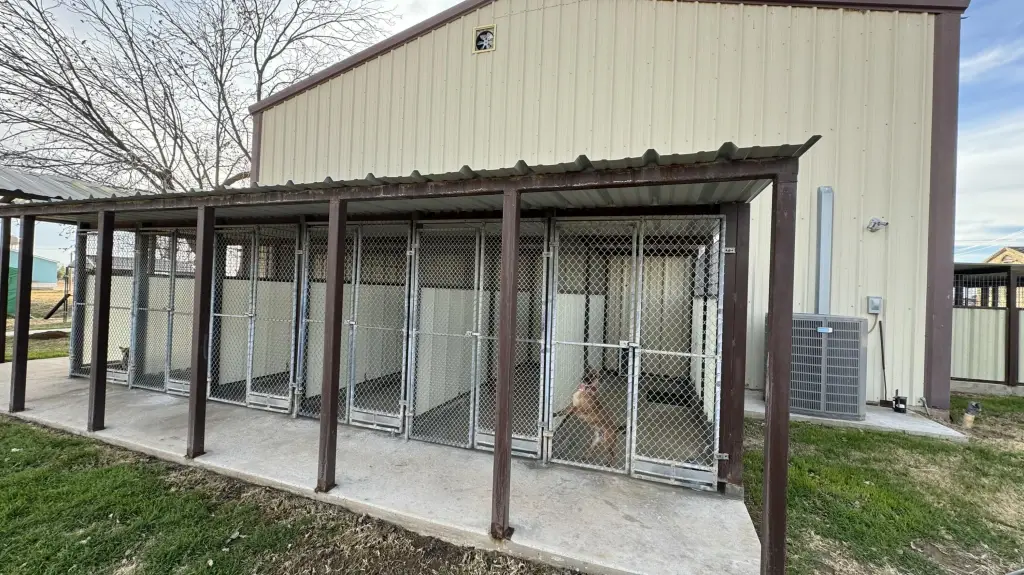 Picture 11
