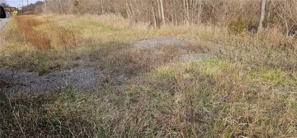 Picture 6
