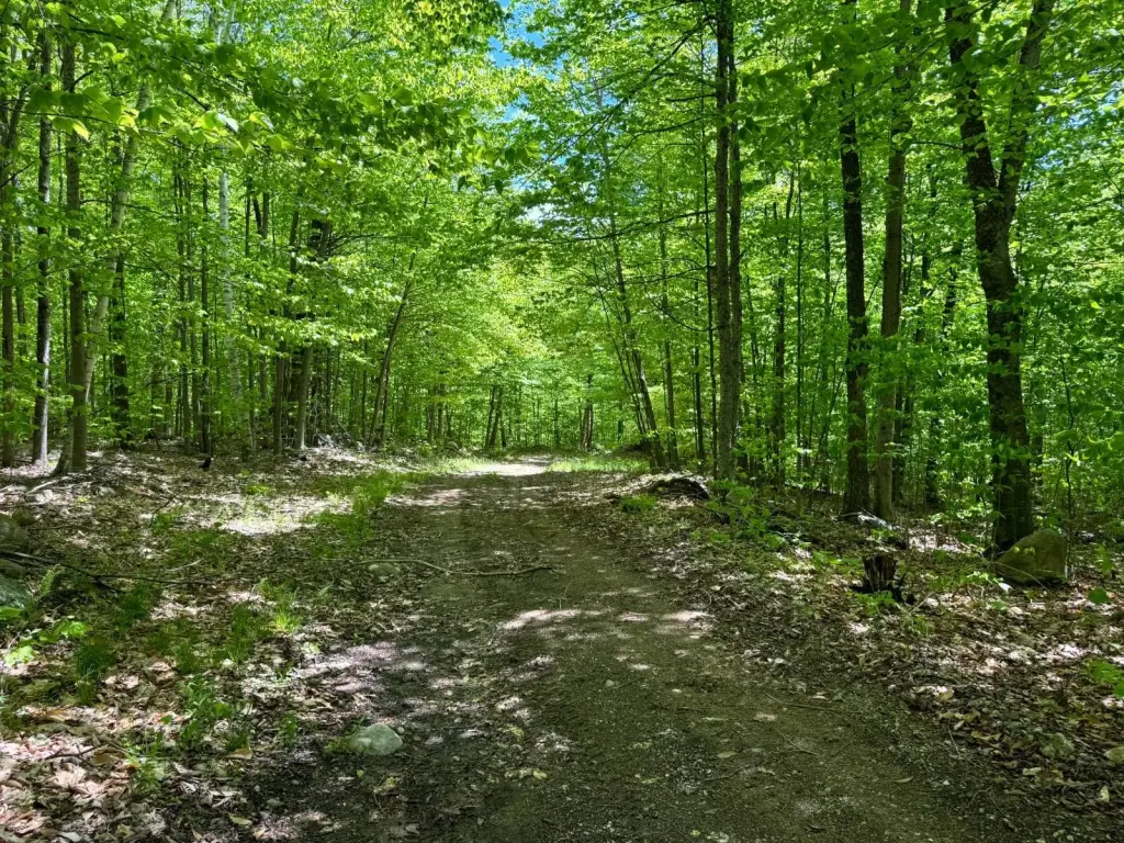 Picture 7