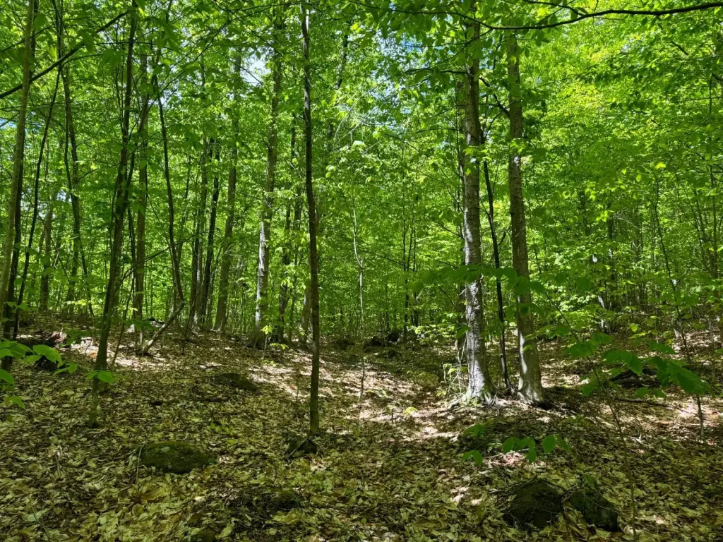 Picture 6