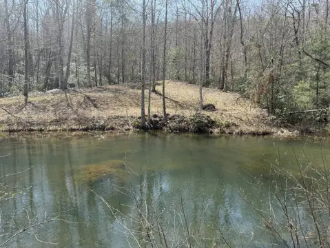 Acreage with Two Ponds