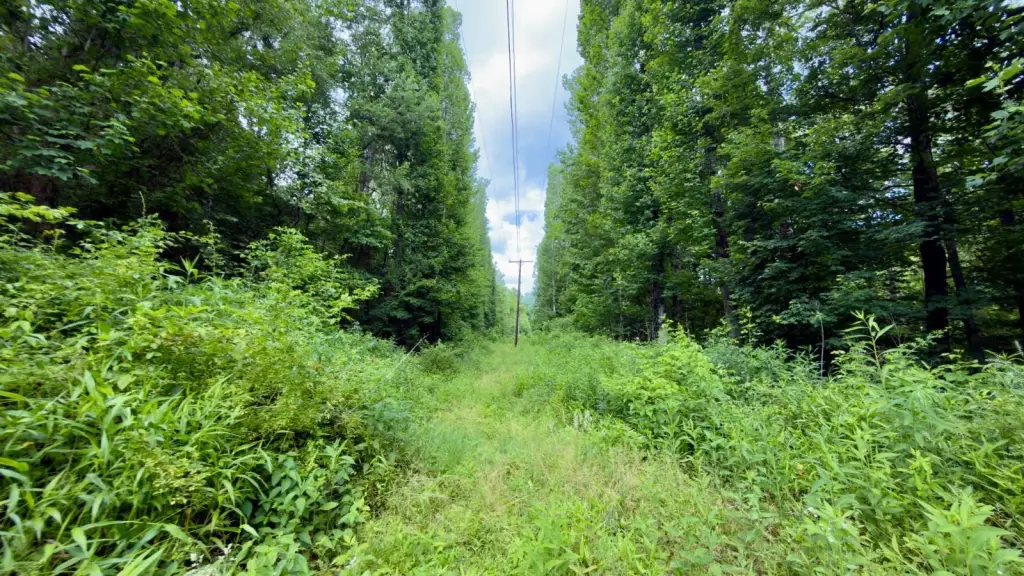 Picture 26