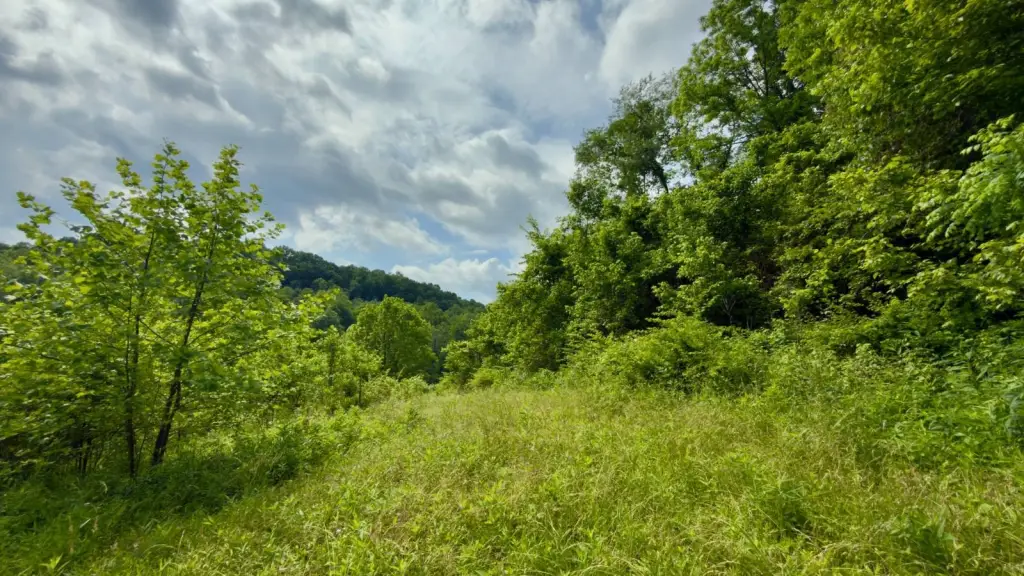 Picture 9
