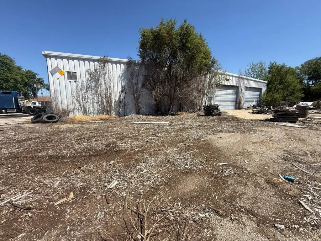 Picture 7