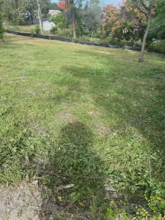 Picture 3