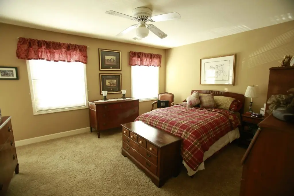Picture 45
