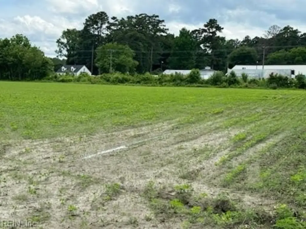 Picture 3