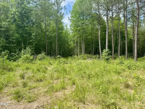 Wooded Lot Near US-64