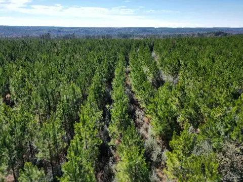 Timberland Tract Ideal Home Location