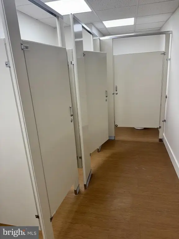 Picture 21